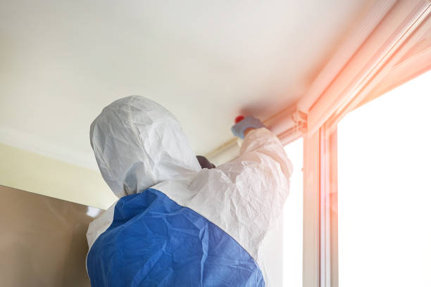 Trusted Peoria, IL Mold Removal & Remediation Experts